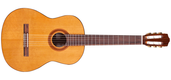 Cordoba C5
