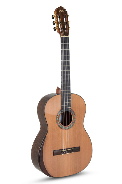 Manuel Rodriguez Superior B