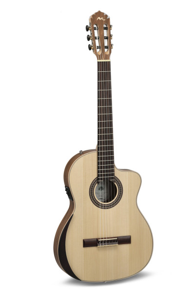 Manuel Rodriguez Ecologia Samba Plano Truss Rod