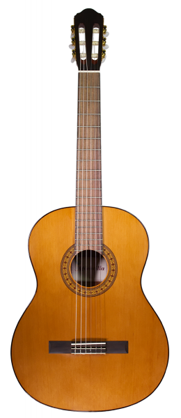 Maravilla M20